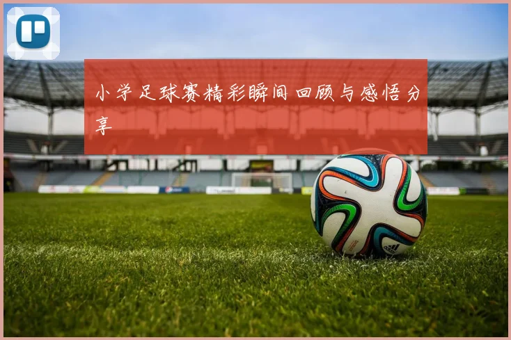 小学足球赛精彩瞬间回顾与感悟分享