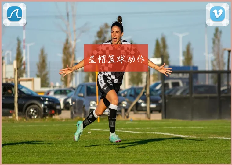 盖帽篮球动作